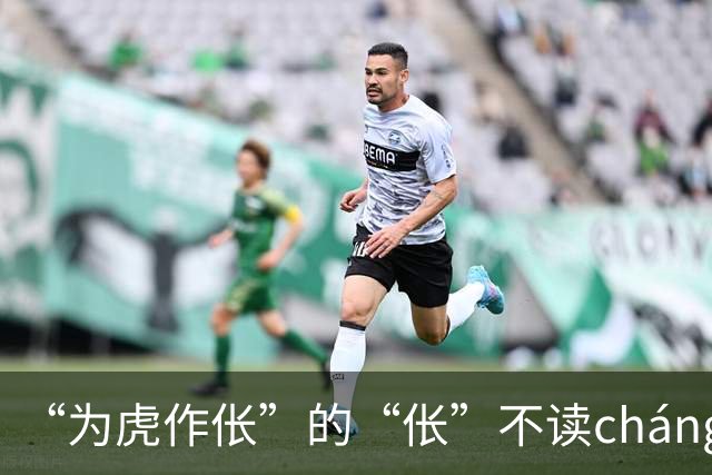 “为虎作伥”的“伥”不读cháng,我出过丑,现在牢牢记住了!